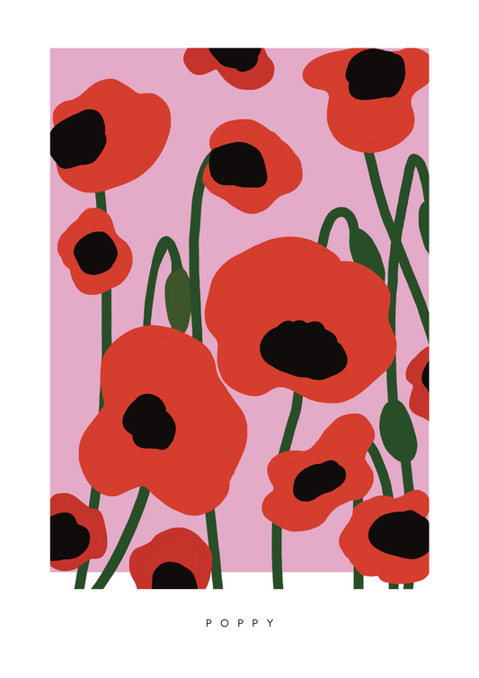 P O P P Y